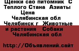 Щенки сао питомник “С Теплого Стана“ Азиаты › Цена ­ 20 000 - Челябинская обл., Челябинск г. Животные и растения » Собаки   . Челябинская обл.